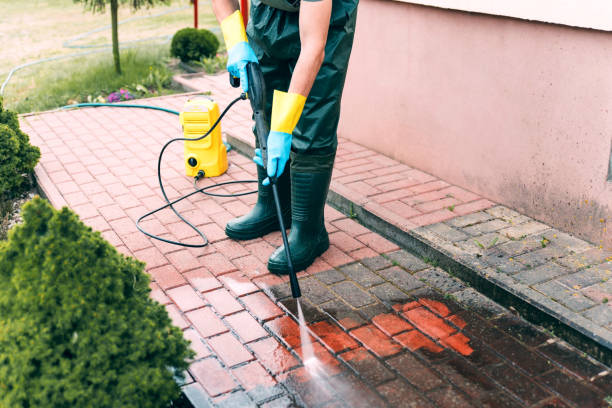 Best Roof Pressure Washing  in Amesti, CA