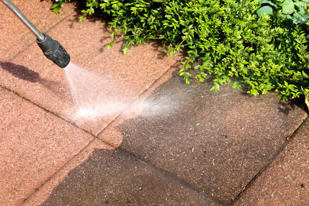 Best Affordable Pressure Washing  in Amesti, CA