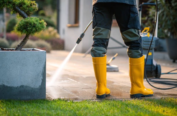 Best Exterior Home Cleaning  in Amesti, CA